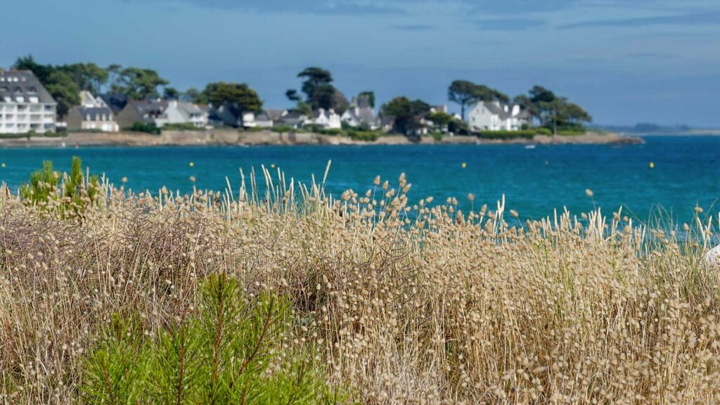 Que faire à Carnac ?