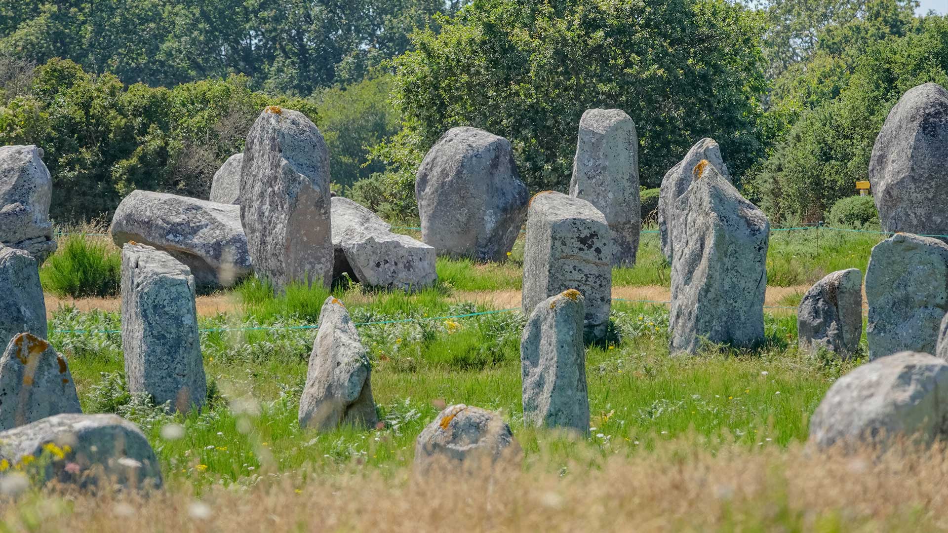 Menhirs des alignements du Ménec à Carnac